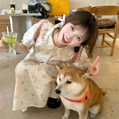 亲爱的杀手